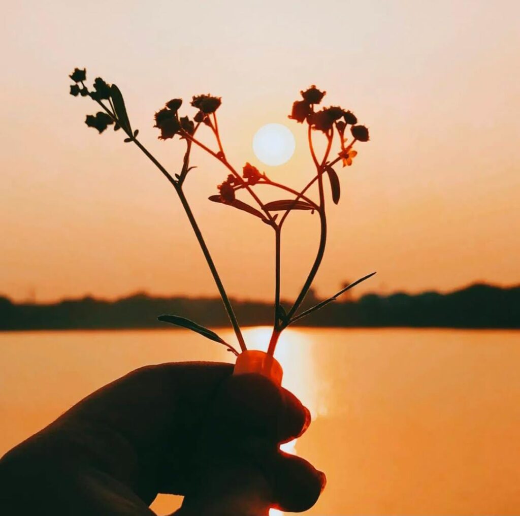 Nature has the power to hold beauty and life together