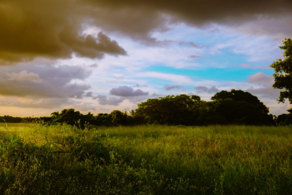 WhatsApp Image 2025-10-22 at 6.59.29 PM (3)